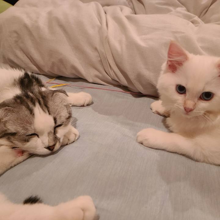 C6835079 5f98 40e3 a1ee ca17d4c96d5b 1655203432128