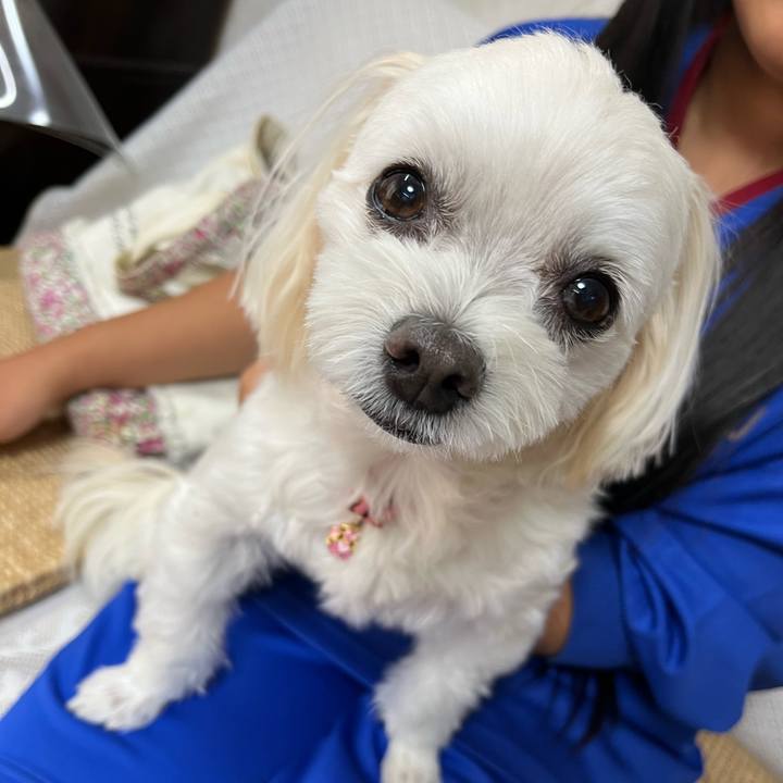 C6836845 2cc7 4d76 9be2 7ec3fc58ca3b 1698308997637