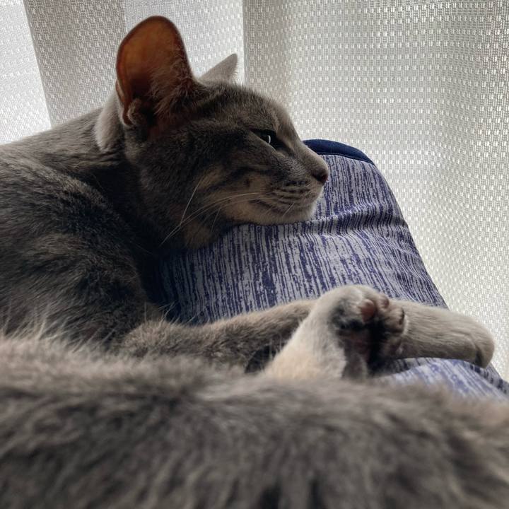 C6837341 8bed 49b8 92c4 94201bdad1bd 1657931853137