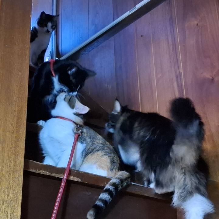 C6837980 c823 41a2 959f 1394e8dd4479 1767832972308