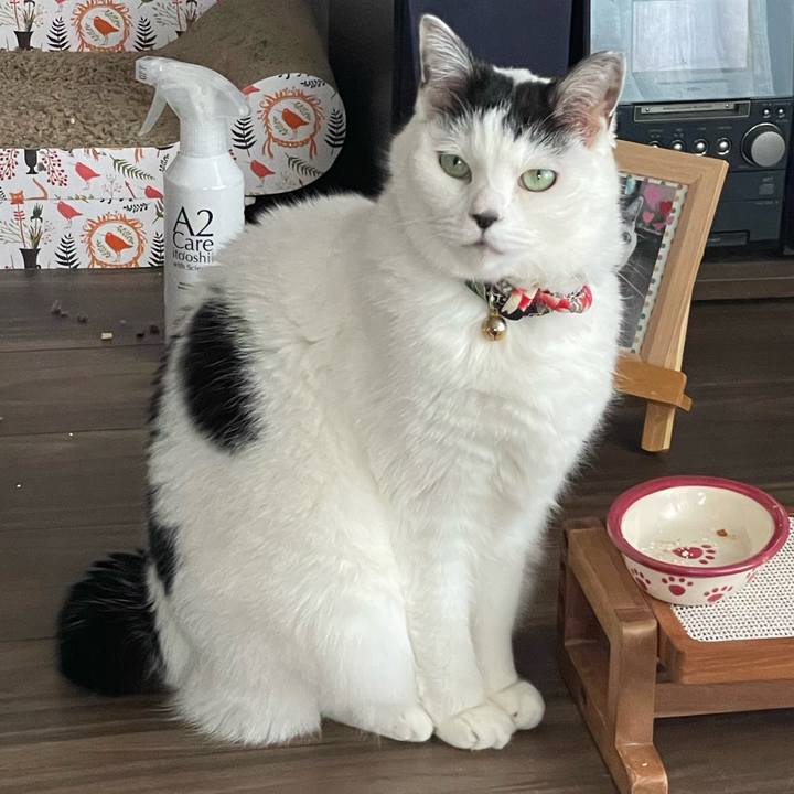 C683c128 6e19 48ce b733 2e7f44c18e03 1708667328822