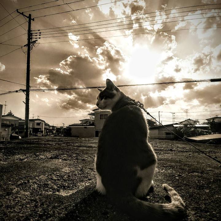 C683c436 87d2 490a 99e7 97ff8e87cab2 1525525454192