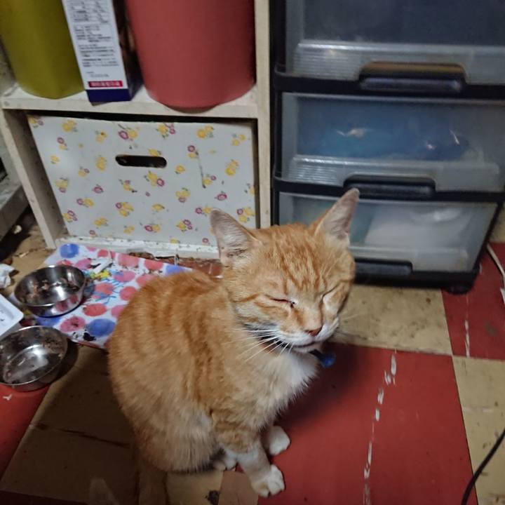 C683c8e6 b4aa 4de3 ad32 b3f18039c4ed 1559332007201