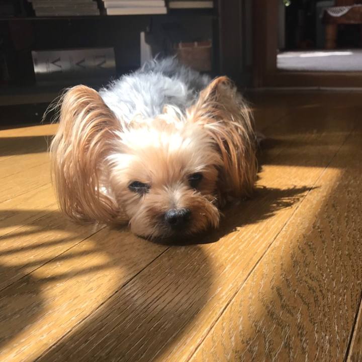 C683ccf7 e136 4c51 871f 9f0d9c4d6455 1554509996729