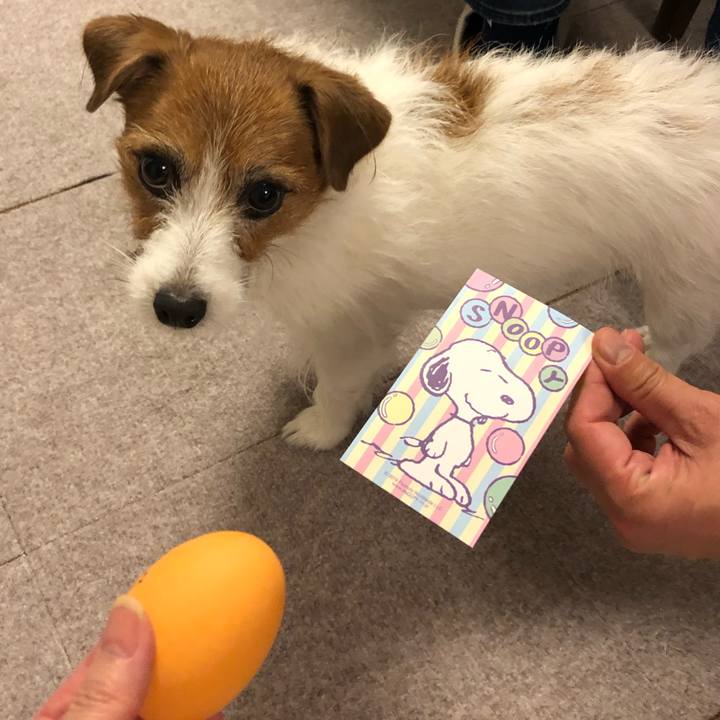 C683d071 33a4 422c 9449 83d73401d07c 1609509080186