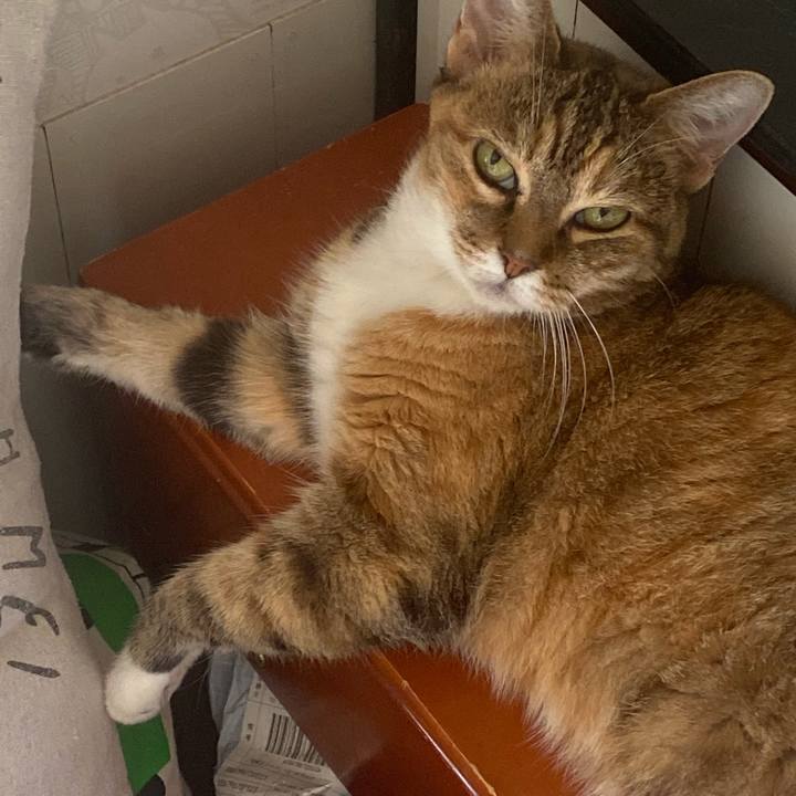 C683e8ab 5c99 4406 8bdf ba2b36ce8a1a 1692500923606