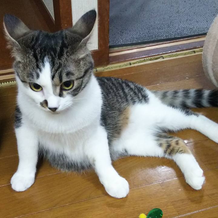 C6842e1e 7ef6 4440 8169 5534ccc47618 1618317331054