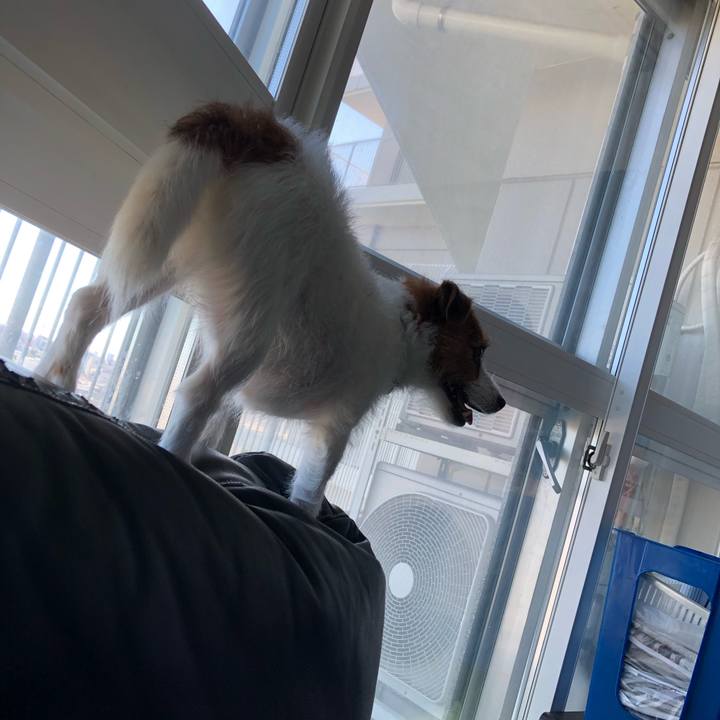 C6844f07 a320 4e25 8668 4d9ae7090207 1570978573450