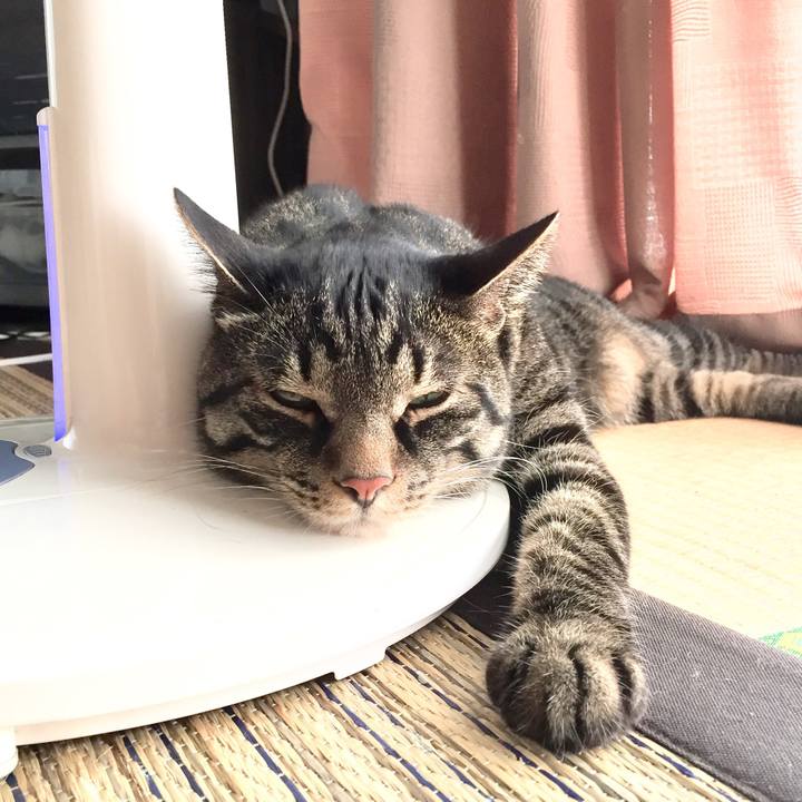 C6846207 0142 4f89 867d d2b9ad2162ca 1533285876597