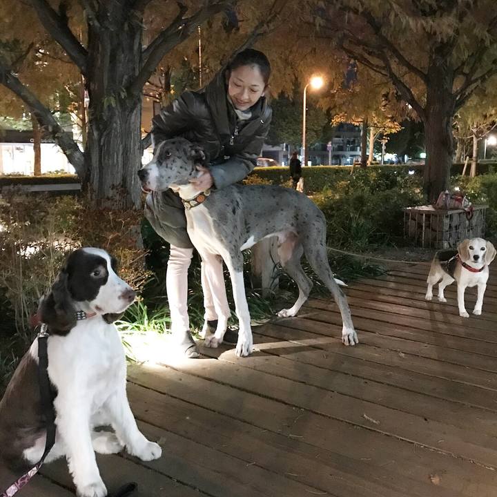 C6849542 5793 43e9 b65d 8010cedf1e4c 1512478423126