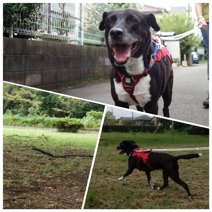 C684ab3f f798 4c63 a1fa f2d743871c26 1663631048198