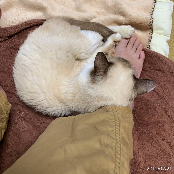 C684c2ea 5d91 4359 9fc7 bfb678df4594 1563675560967