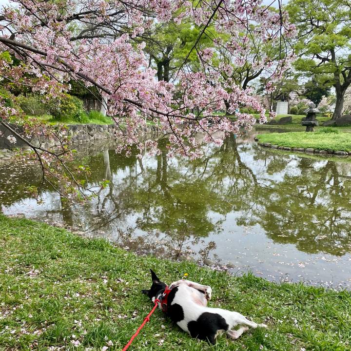 C684c76f 56c9 43a5 a871 bc79d0ed7a42 1617509258890