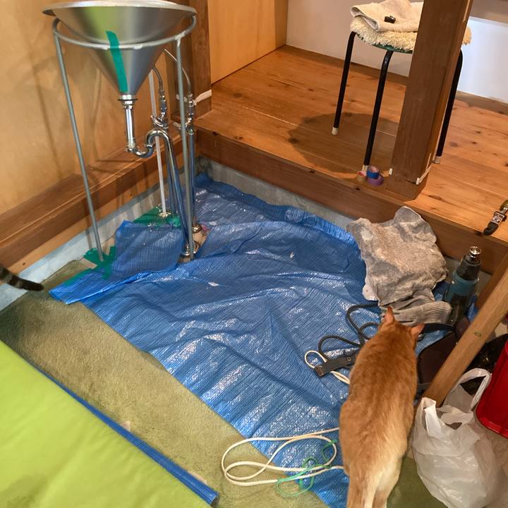 C684d7e9 9052 4f1d 8570 aeb542504456 1729342871982