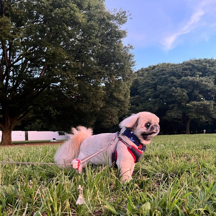 C684dd1c fcd2 42a3 8d8e f3dc698fb74e 1753699341848