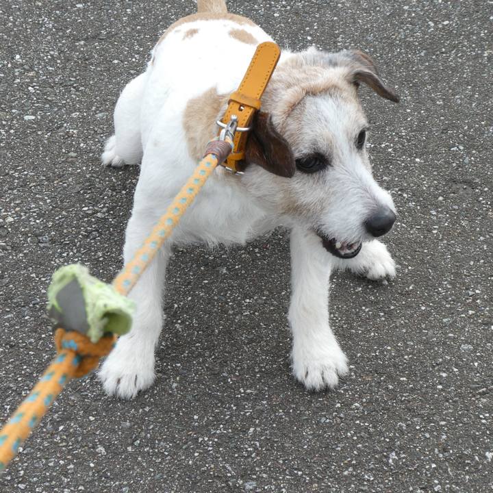 C685798e 253a 40dd bafa a92d74699e9d 1589621765037