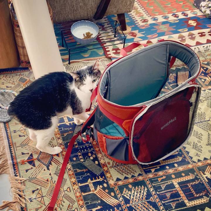 C6858371 fa73 4b56 a03f 4e67f02d1442 1618704318526