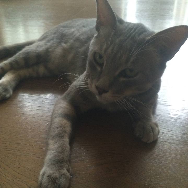 C6859916 1193 43f1 b888 fe5a51793822 1531665294603