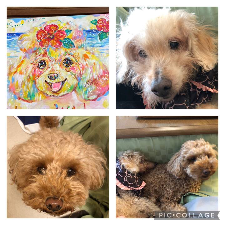 C685bdb4 1faa 436a bf5f fe304bef8360 1734957106114