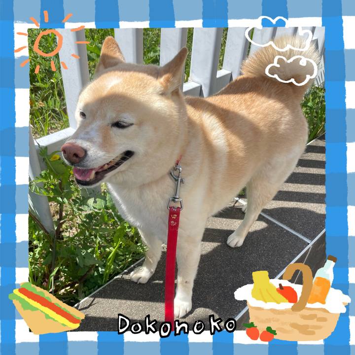 C685e173 4e6b 451f 8d9a ca691b52e6a9 1744723336869