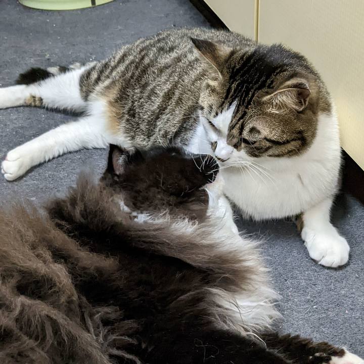 C6860747 a4e4 40b9 bee8 b9a7da42ce61 1667136927854