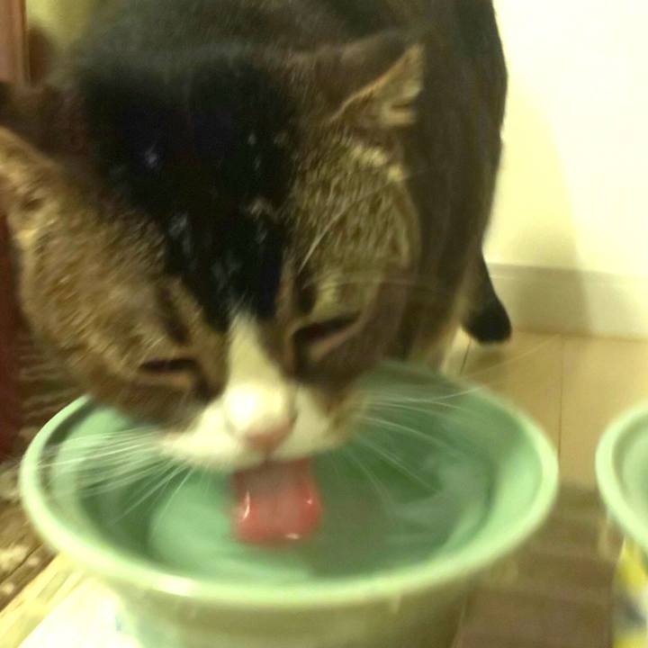 C68668db c7aa 4d26 b3b3 d9ca5360ab6d 1673099458552