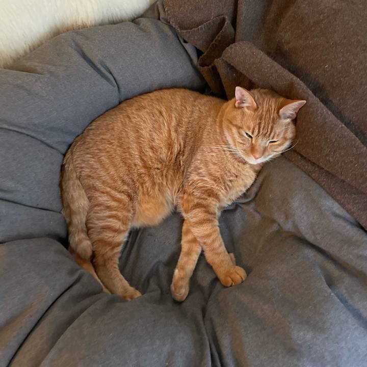 C686a708 d405 45b7 a787 c9fa6fe1444f 1673957064438