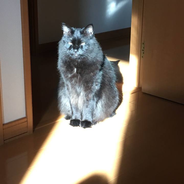 C686abe0 f2c0 475a a405 283fa81178e6 1532296095797