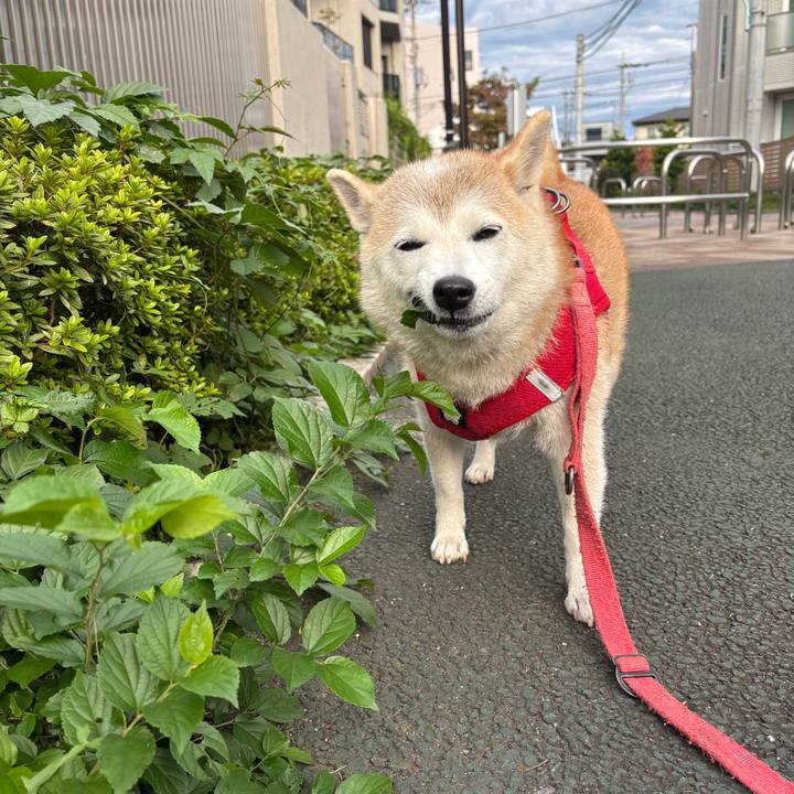 C686b790 92f2 4b17 aecc ac5e6330e92f 1760828144778