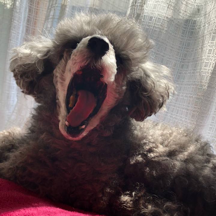 C686e722 2609 44a0 8f96 bc4d3a4695dd 1647001663987