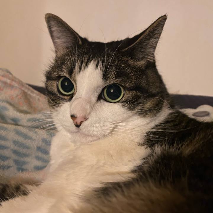 C6873dbe 040c 4024 9b31 587a55498953 1666707620957