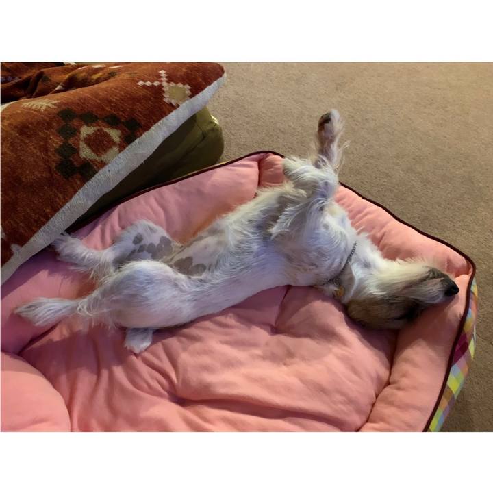 C6873f2a 439d 4f6b 9431 0815380031ae 1599310014858