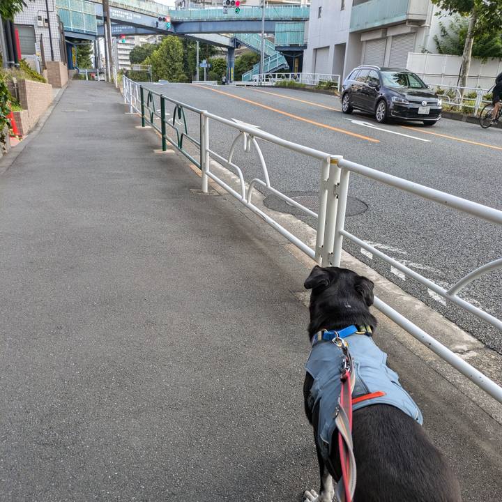 C6878415 0971 4839 8316 3cc2fe3e929c 1724455698755