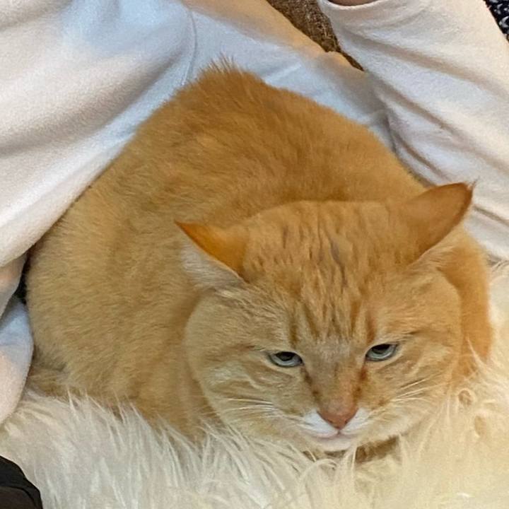 C6878c86 f766 4332 832a 563126fd49f9 1673912023502