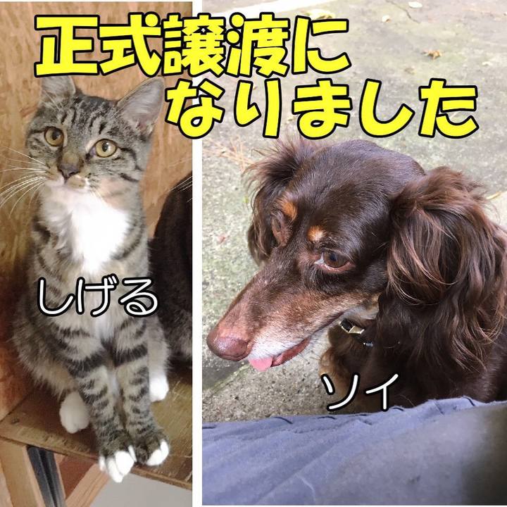 C6879ddd 118e 49c2 8c20 480a91978cda 1567150369927