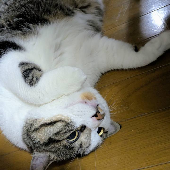 C687c521 0315 4db2 aafc 5db7553e354a 1750713193509