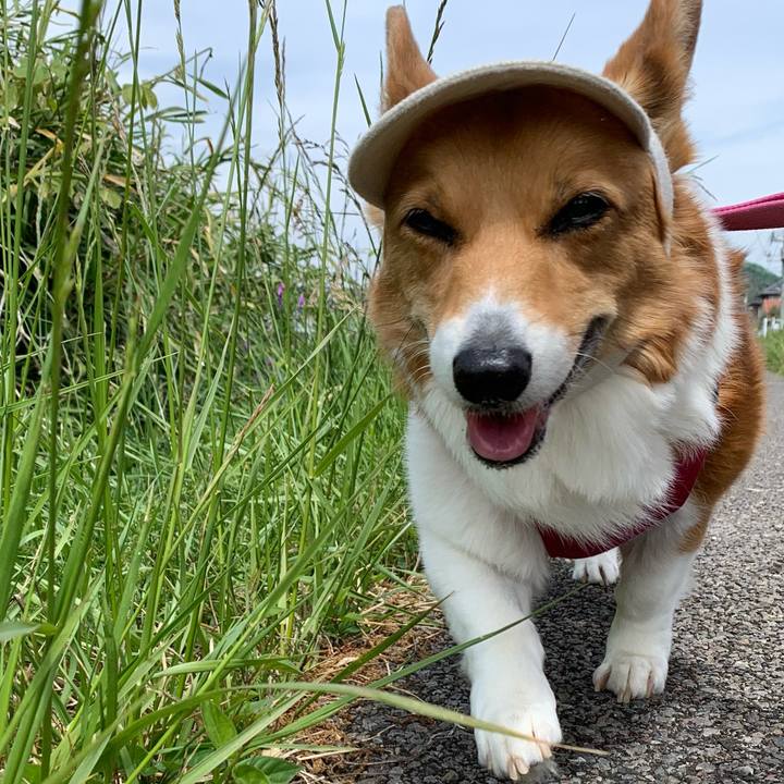 C687c69e 952a 4076 b8c8 9e6a8e007ac5 1682307858908