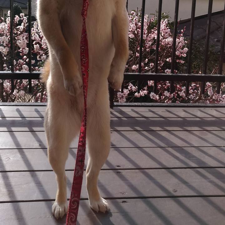 C687d04b f92d 4cee 91ff fe1169559ea8 1520247953235