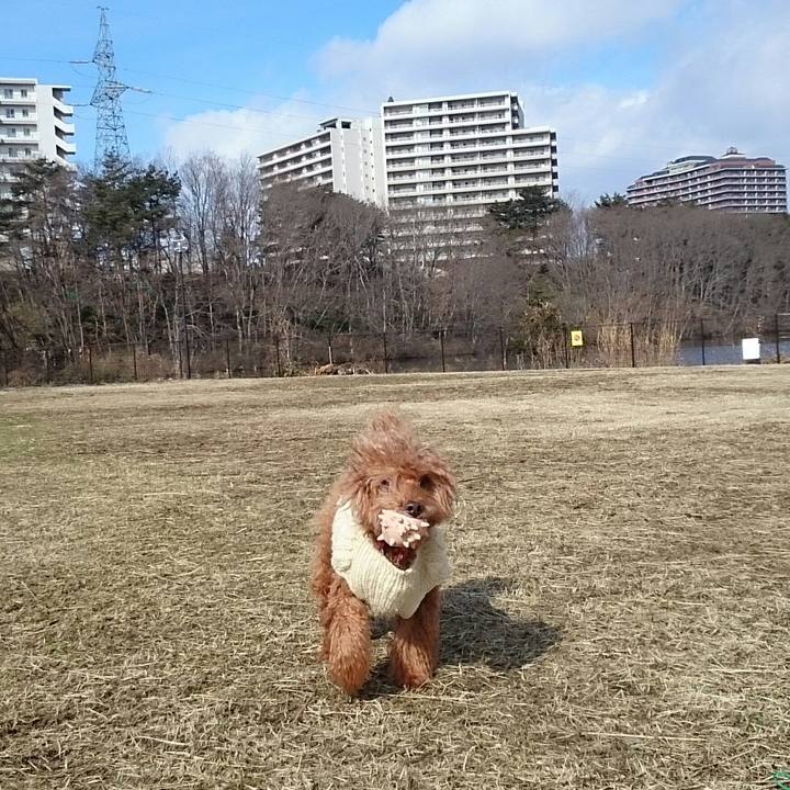 C687d161 d016 40fd abd5 11a0cfd09a38 1519530554309