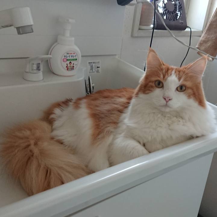 C6880662 2d58 42cc 9ff9 9cfd77011c80 1570415767483