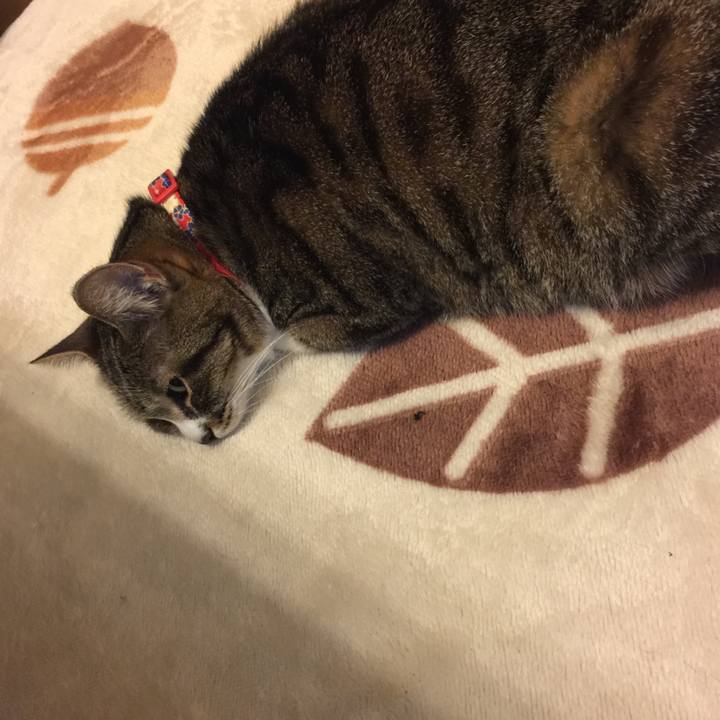 C6880ff2 21e5 4993 9327 616f54f0e5d1 1555865123211