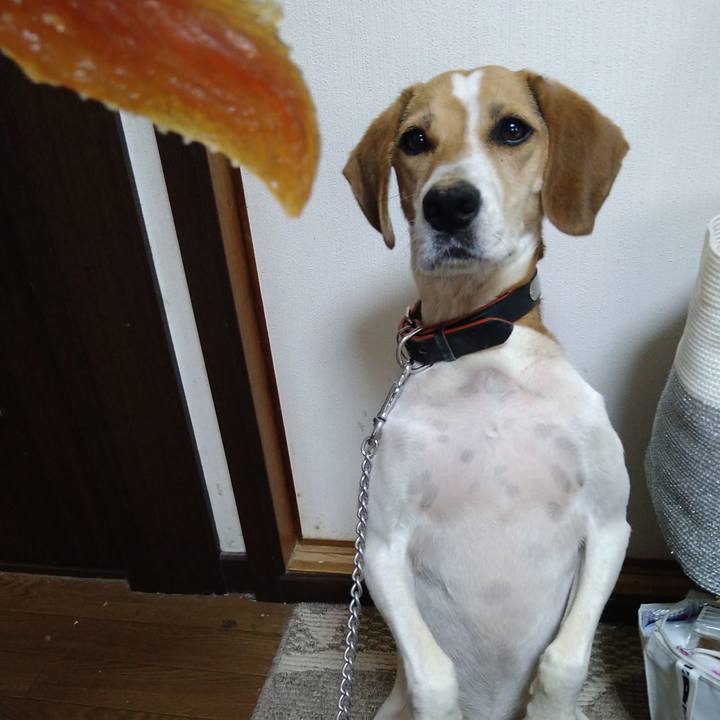 C68845e9 1403 44b4 8181 264e45ab13bc 1627798058400