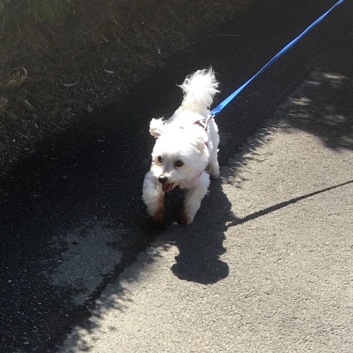 C6885510 ef9e 47f8 97ca c27c8d7734c0 1619744216613