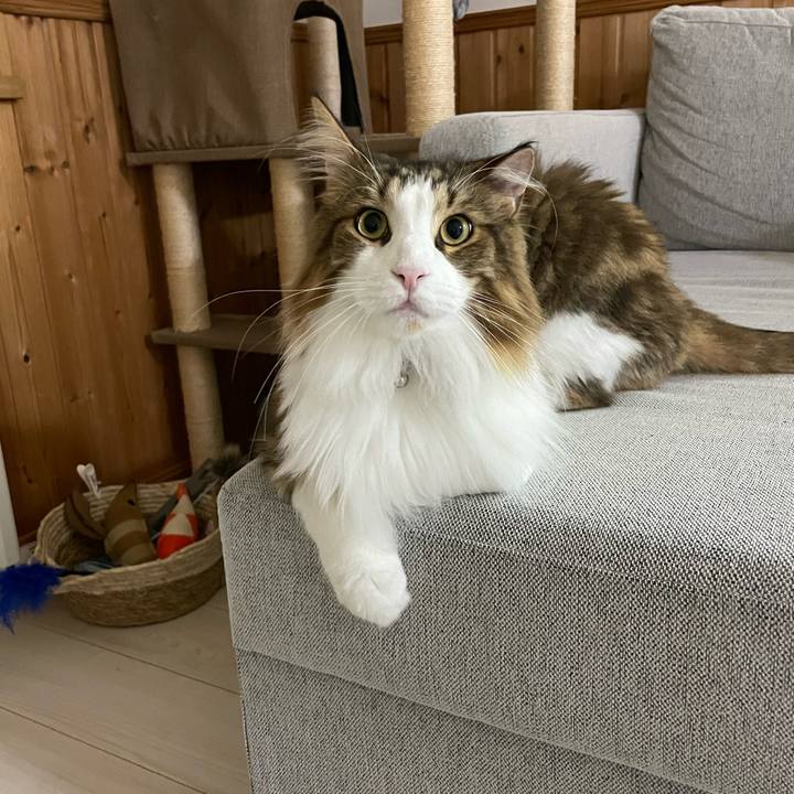 C68856a3 a560 4676 bb0e 27a7985a922f 1664482323249