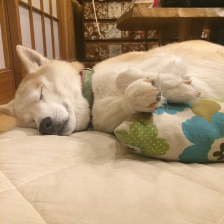 C6885c40 7a2d 4f5c 8c1d 5bc906d01cf0 1553437891105