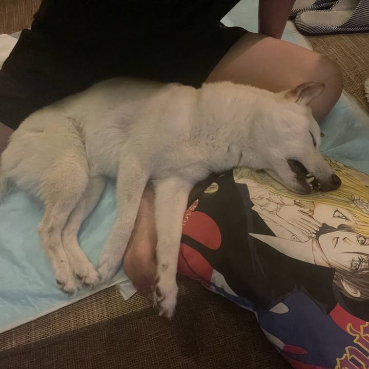 C6889548 5903 4c05 89e3 801494871c59 1660660380352