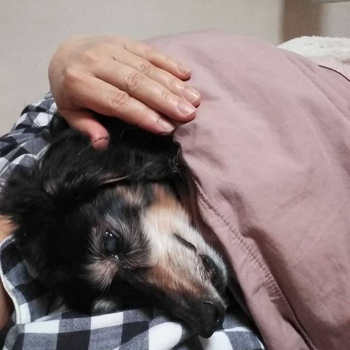 C688d365 9e11 475f 8075 7a6943476aed 1645473912426