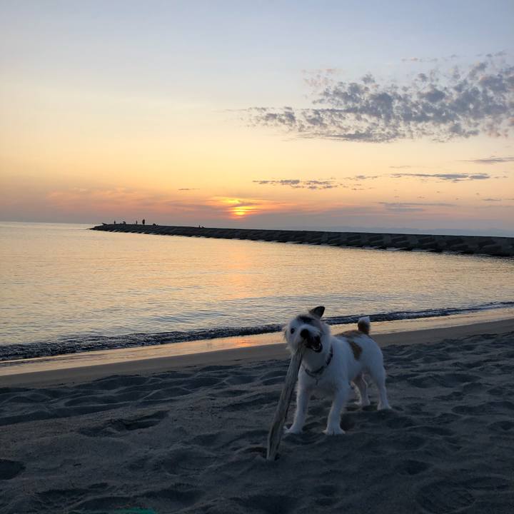 C688f648 120e 4efb 8a11 5347fc11ed16 1601627266287