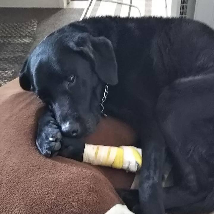 C689004e c23c 43e5 af68 ed8a8c60fc09 1691807482723