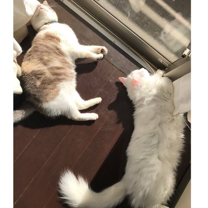 C689176d 37b9 496d bebd 0286e594d371 1551741018779